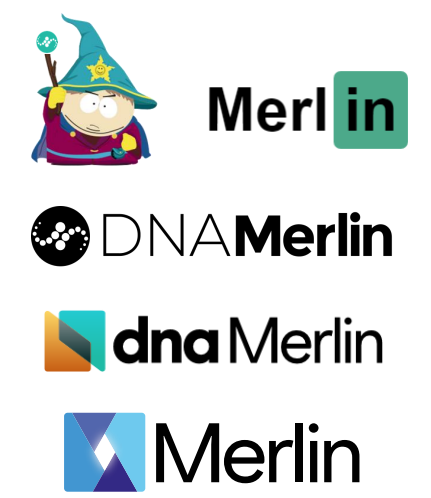 Logo merlin illustration
